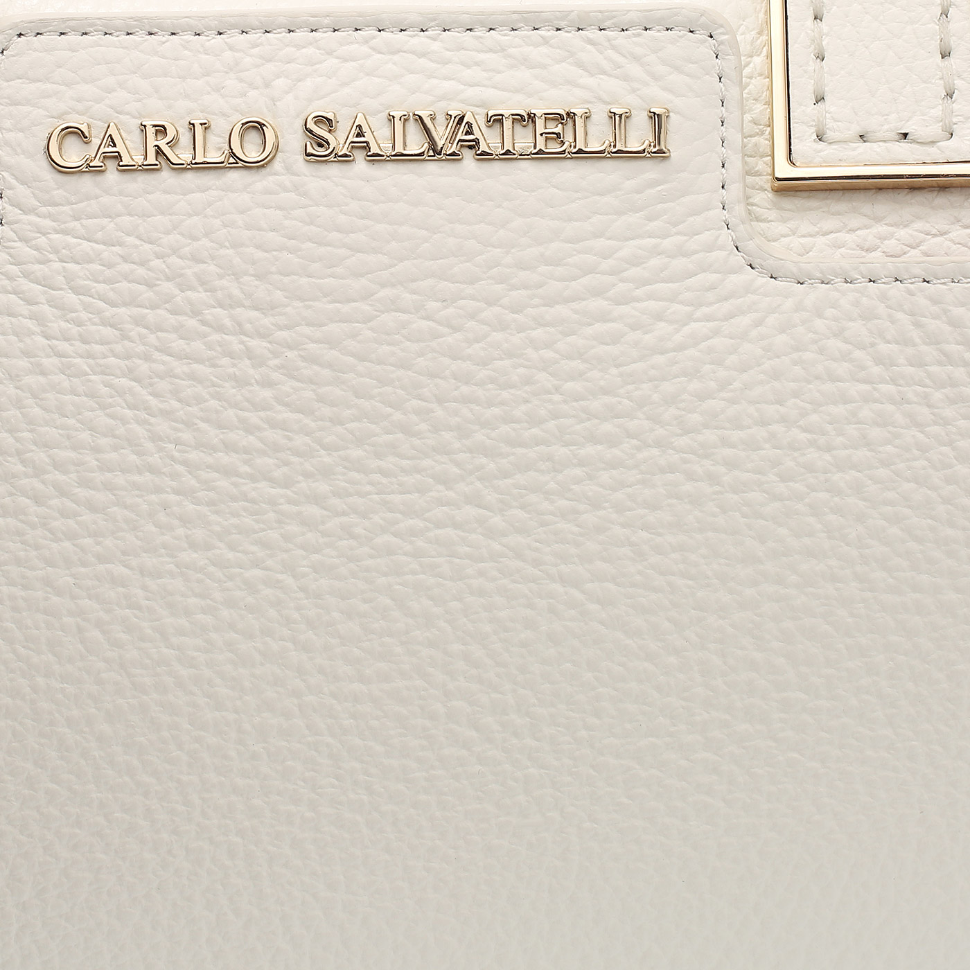 Кожаная сумка Carlo Salvatelli Swami gemma